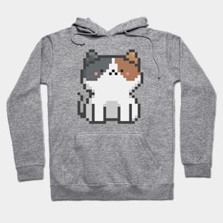 Pixel Quiet White Calico A Cat 51 Hoodie